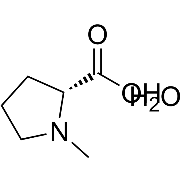 N-甲基-D-脯氨酸一水合物