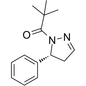 GSK962