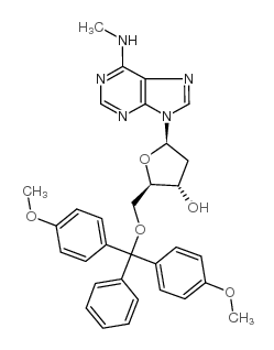 2'-脱氧-5'-O-二甲氧基三苯甲基-N6-甲基腺苷