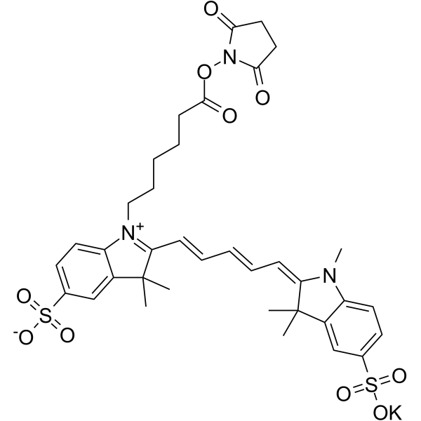 磺基花青5 NHS酯