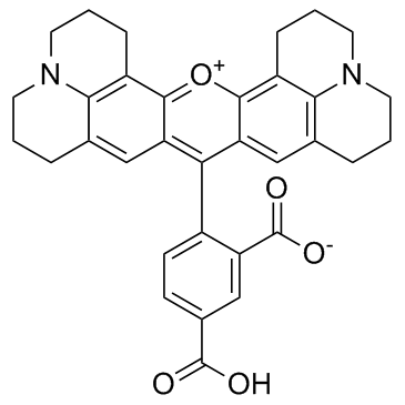 5-羧基-X-罗丹明