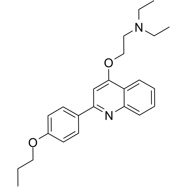 SARS-CoV-2-IN-20