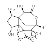 莽草毒素