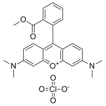 四甲基罗丹明甲酯高氯酸盐