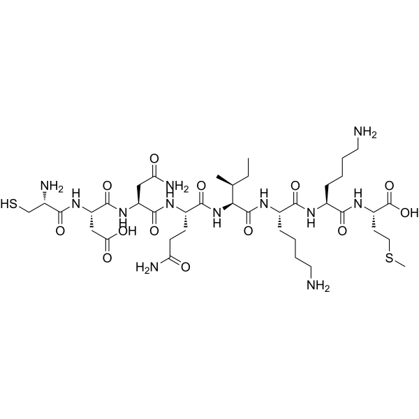 P34cdc2 Kinase Fragment