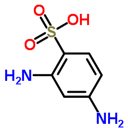 2,4-二氨基苯磺酸