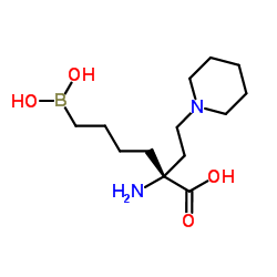 精氨酸酶