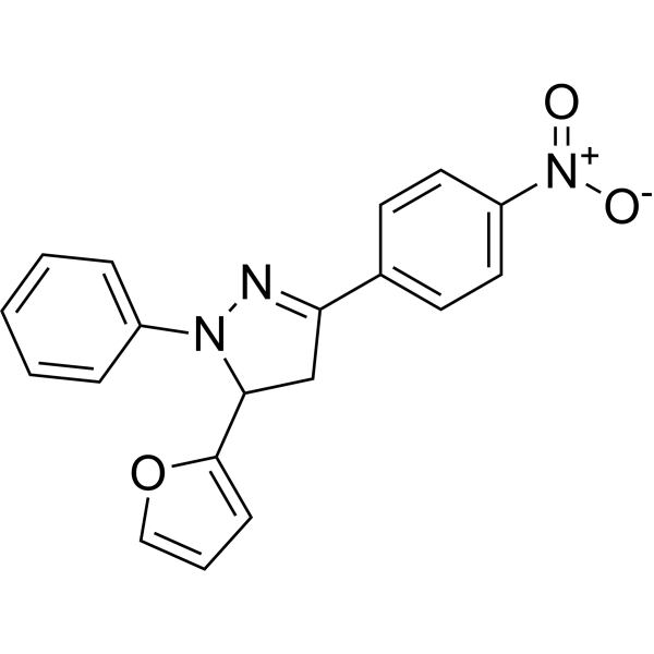 RDR 02308