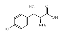 L-酪氨酸盐酸盐