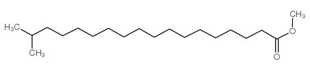 17-methyl Stearic Acid methyl ester