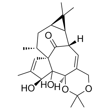 巨大戟醇-5,20-缩丙酮