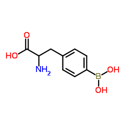 4-硼酸-苯丙氨酸