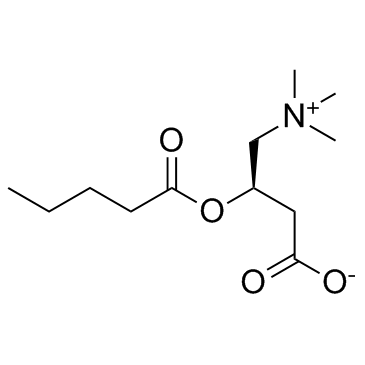 戊酰左旋肉碱