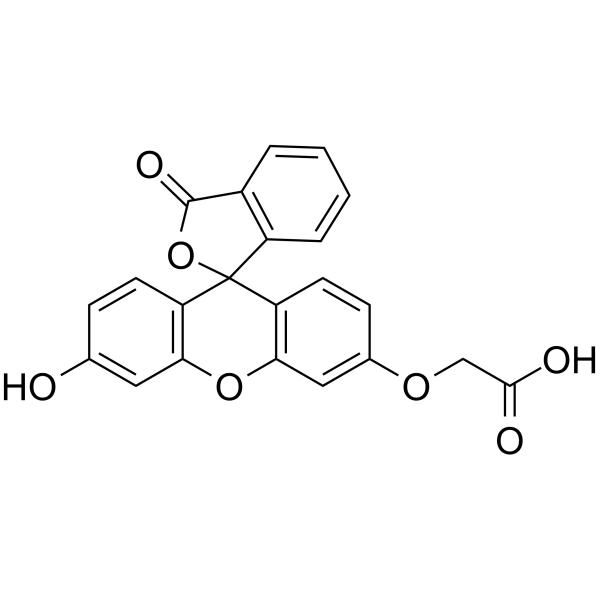 荧光素-O'-乙酸