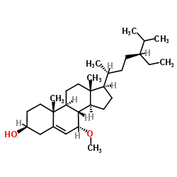 Schleicheol 2