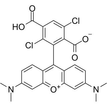 1,4dichloro6-Carboxytetramethylrhodamine