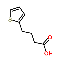 4-(2-噻吩基)丁酸