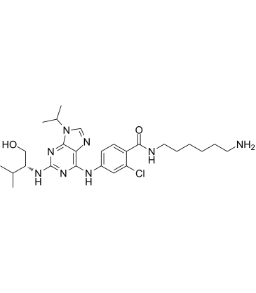 Protein kinase affinity probe 1