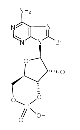 8-溴腺苷-3',5'-环单磷酸