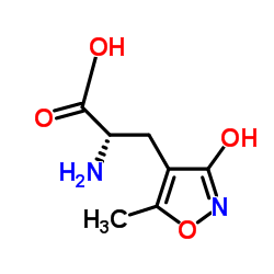 (S)-α-氨基-3-羟基-5-甲基异恶唑-4-丙酸