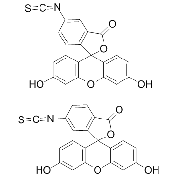 异硫氰酸荧光素