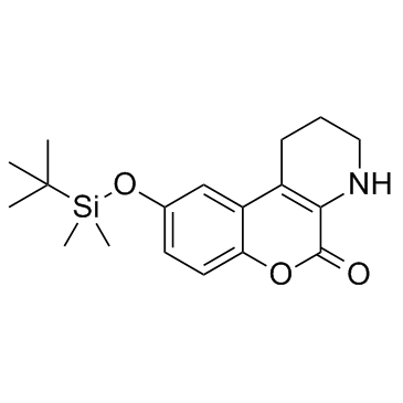 KB-NB77-78