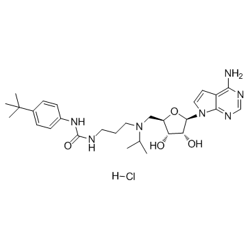 EPZ004777盐酸盐