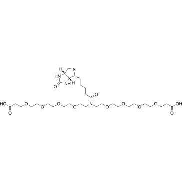 N-Biotin-N-bis(PEG4-acid)