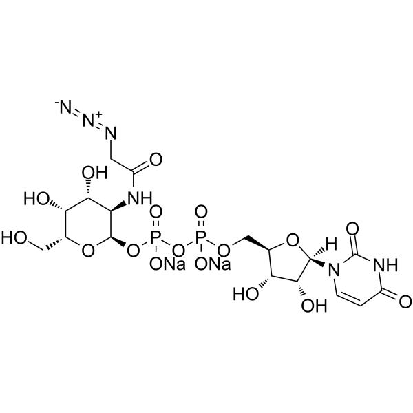 UDP-GalNAz.2Na