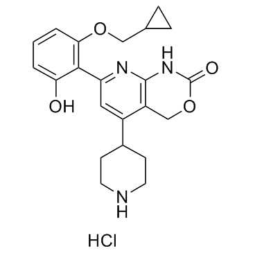 IKK-IN-1