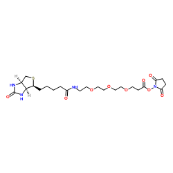 Biotin-PEG3-NHS ester