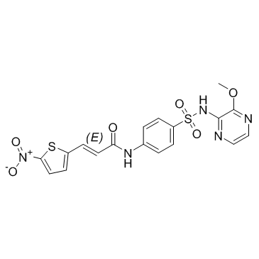 (E)-Necrosulfonamide