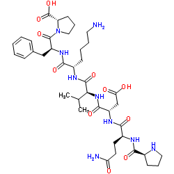 HCV Core Protein (19-25)