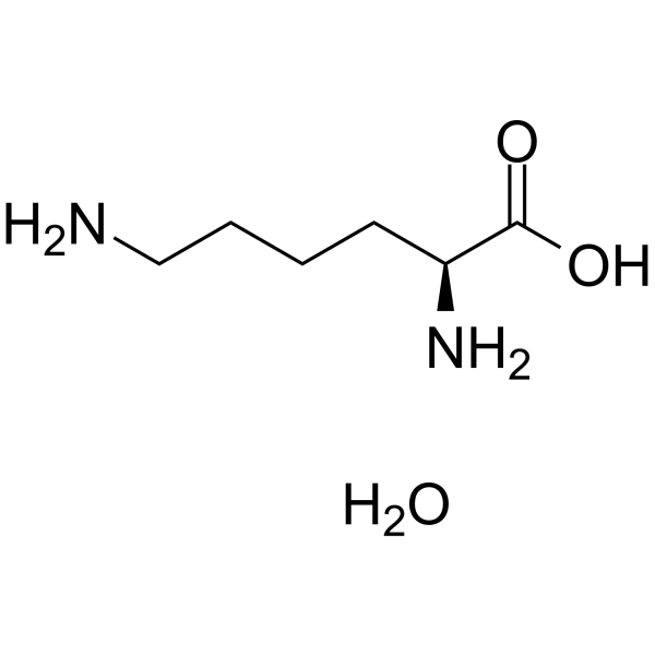 L-赖氨酸一水物