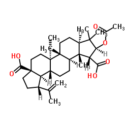 乙酸茶酸酯