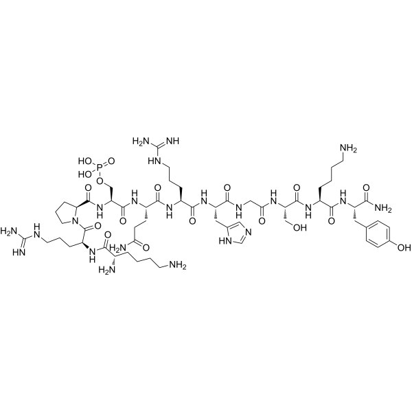 KRPpSQRHGSKY-NH2