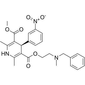 (R)-Nicardipine