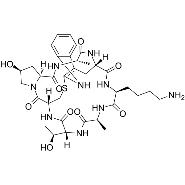 (Lys7)-Phalloidin