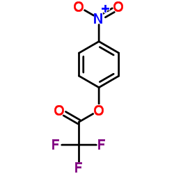 2,2,2-三氟乙酸(4-硝基苯基)酯