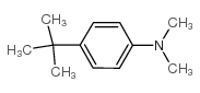 4-叔丁基-N,N-二甲基苯胺