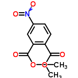 4-硝基邻苯二甲酸二甲酯