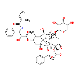 7-木糖基-10-去乙酰基紫杉醇 B