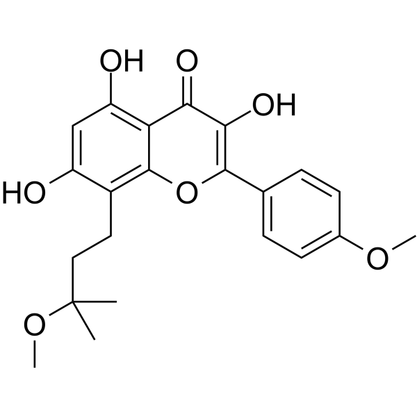 Brevicornin