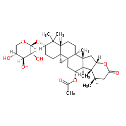 cimilactone A