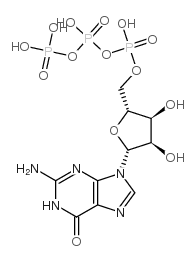 鸟苷三磷酸