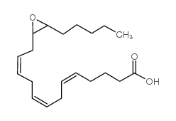 14,15-EET,花生四烯酸的细胞色素p450产物