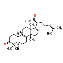 榄香酮酸