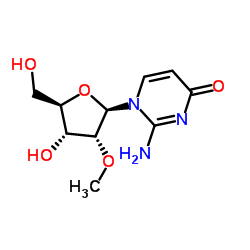 2'-O-Methyl isocytidine