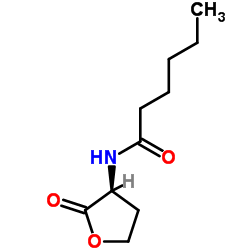 N-己酰基-L-高丝氨酸内酯