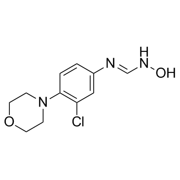 N-(3-氯-4-吗啉代苯基)-N'-羟基甲脒